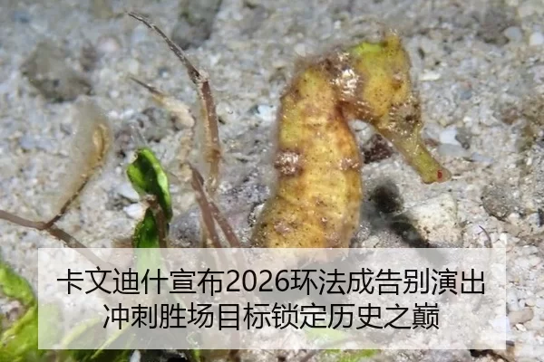 卡文迪什宣布2026环法成告别演出 冲刺胜场目标锁定历史之巅